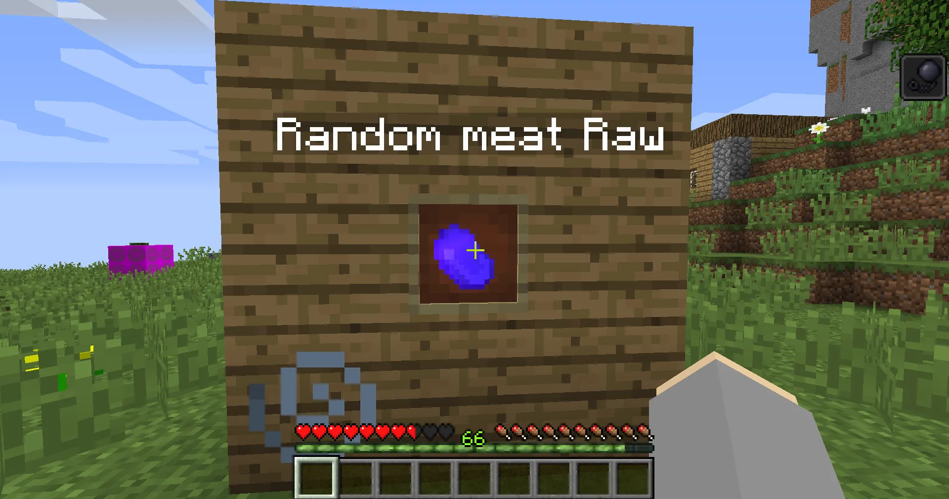 Random Mod!!!, Моды, Minecraft