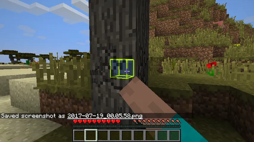Enhanced Selection Bounding Box Mod, Моды, Minecraft