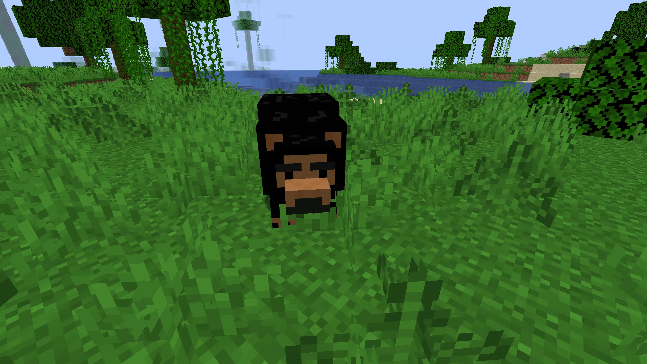 Manda's Stuff, Моды, Minecraft