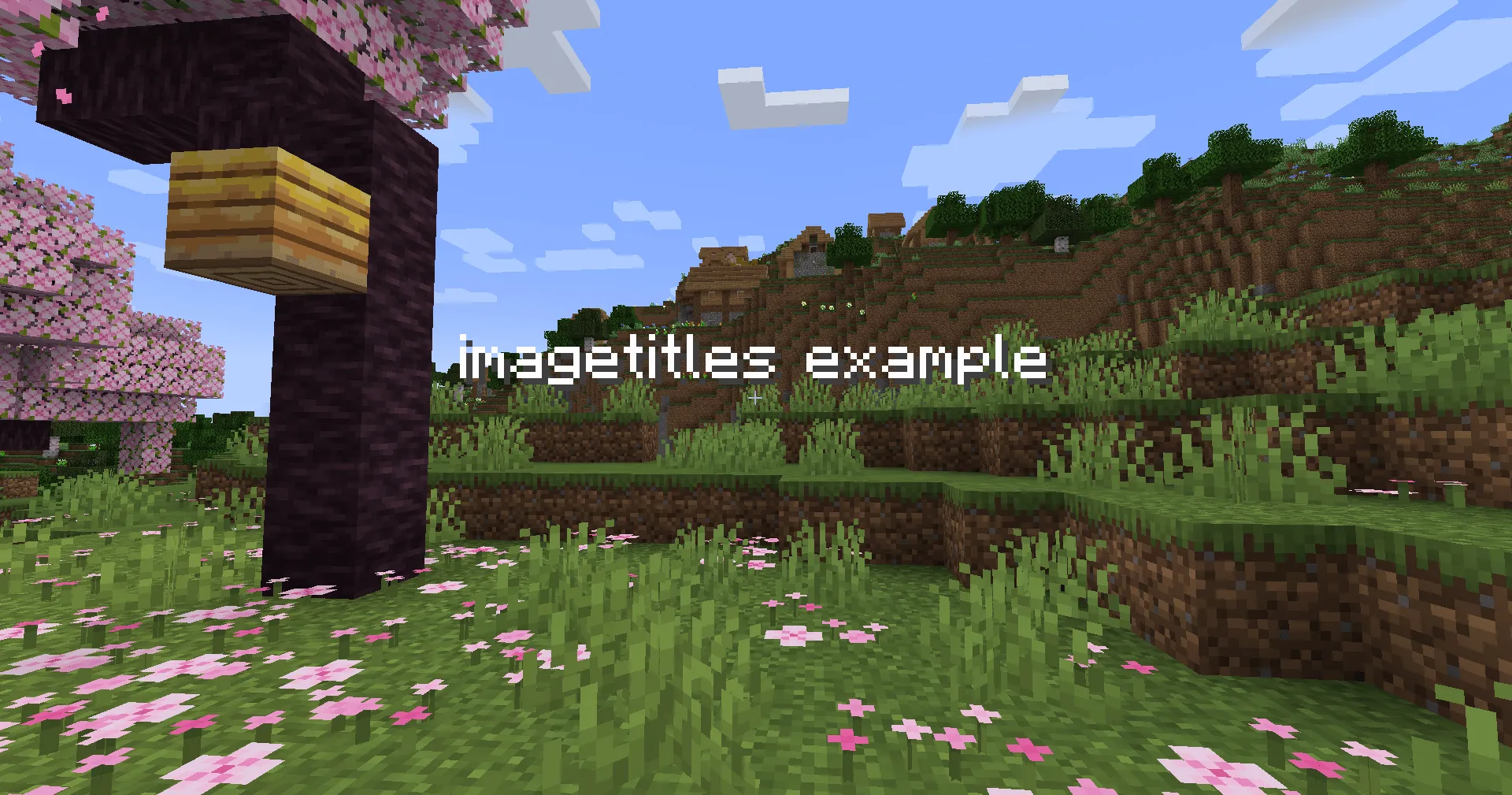 ImageTitles, Моды, Minecraft