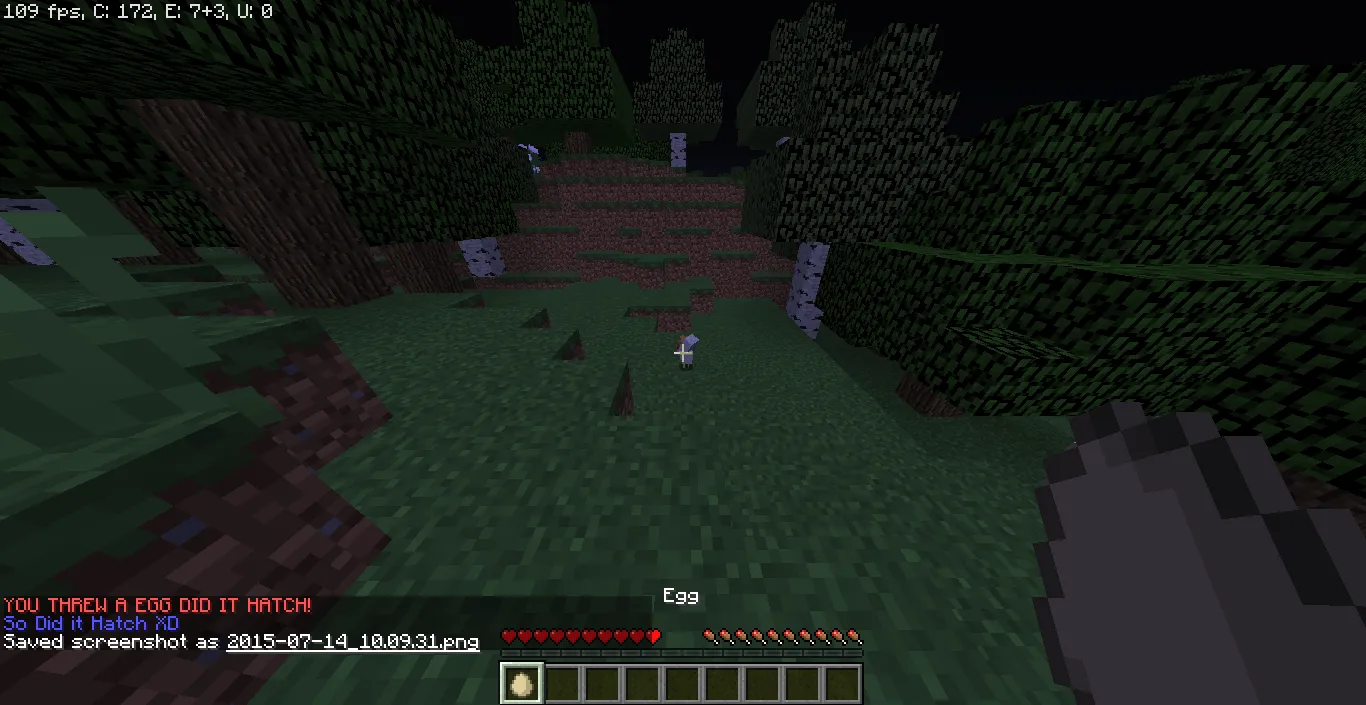 RandomThings — скриншот 1 (Плагины, Minecraft)