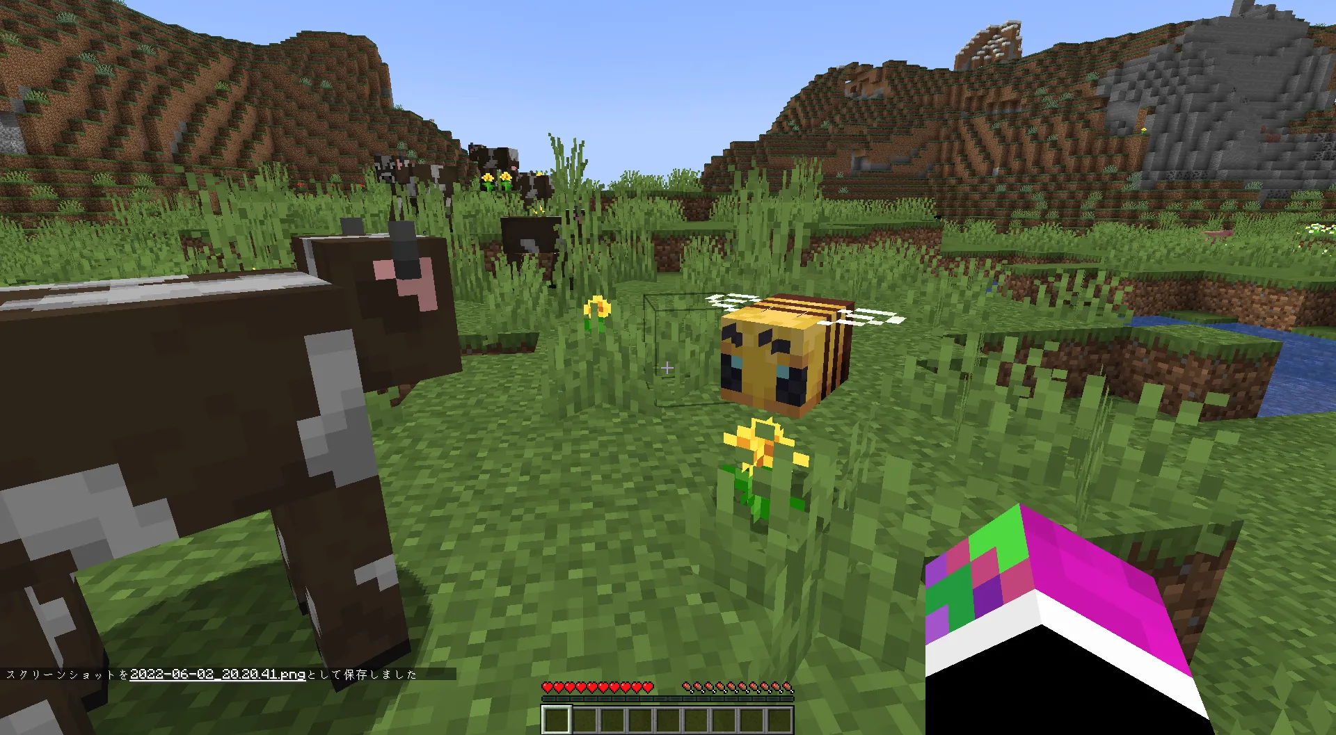 Enderman_pumpkin[1.19.3~1.16.5], Текстуры, Minecraft