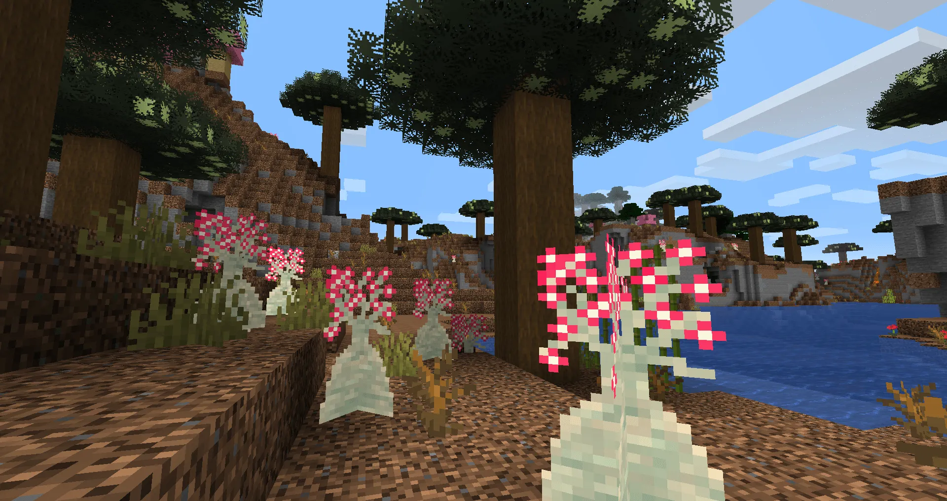 Caio Cesar's Biomes and Seasons, Моды, Minecraft