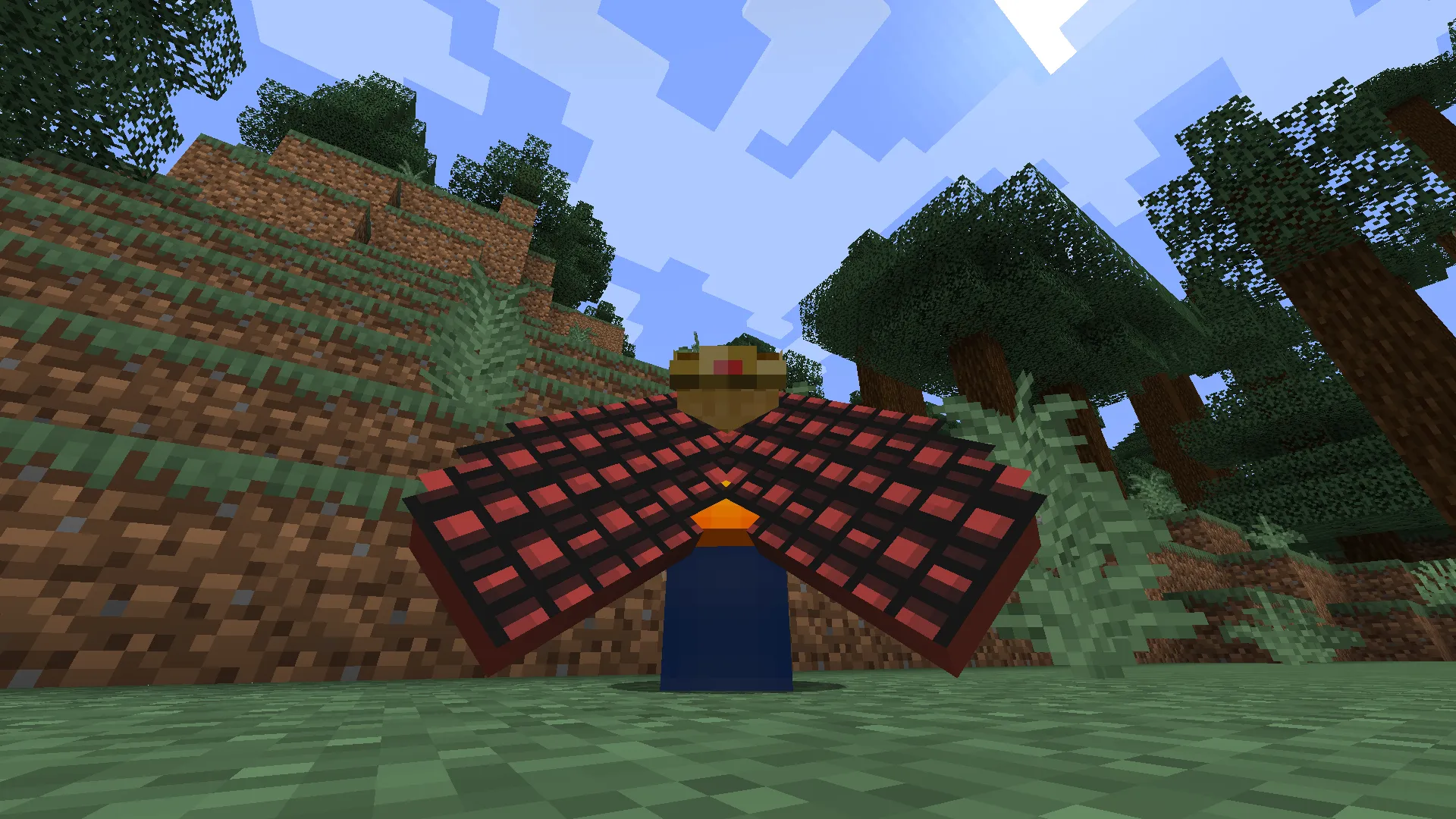 Cosmetic Elytra, Текстуры, Minecraft