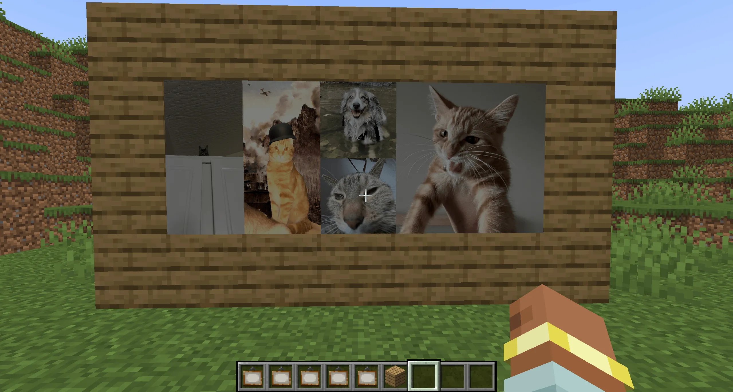 Jefe's Pet Paintings, Моды, Minecraft