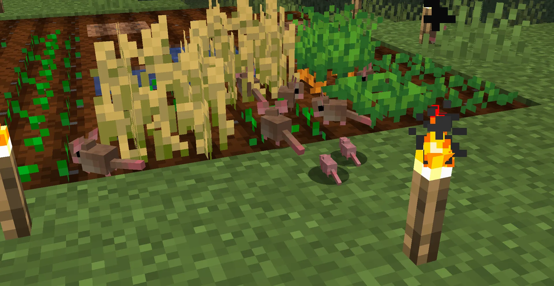 Barnyard Buddies, Моды, Minecraft