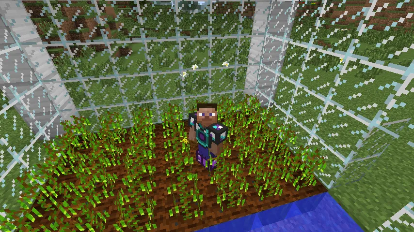 Pixel Sauce Mod, Моды, Minecraft