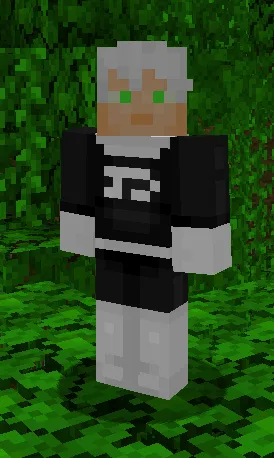Phantom Accessories, Моды, Minecraft