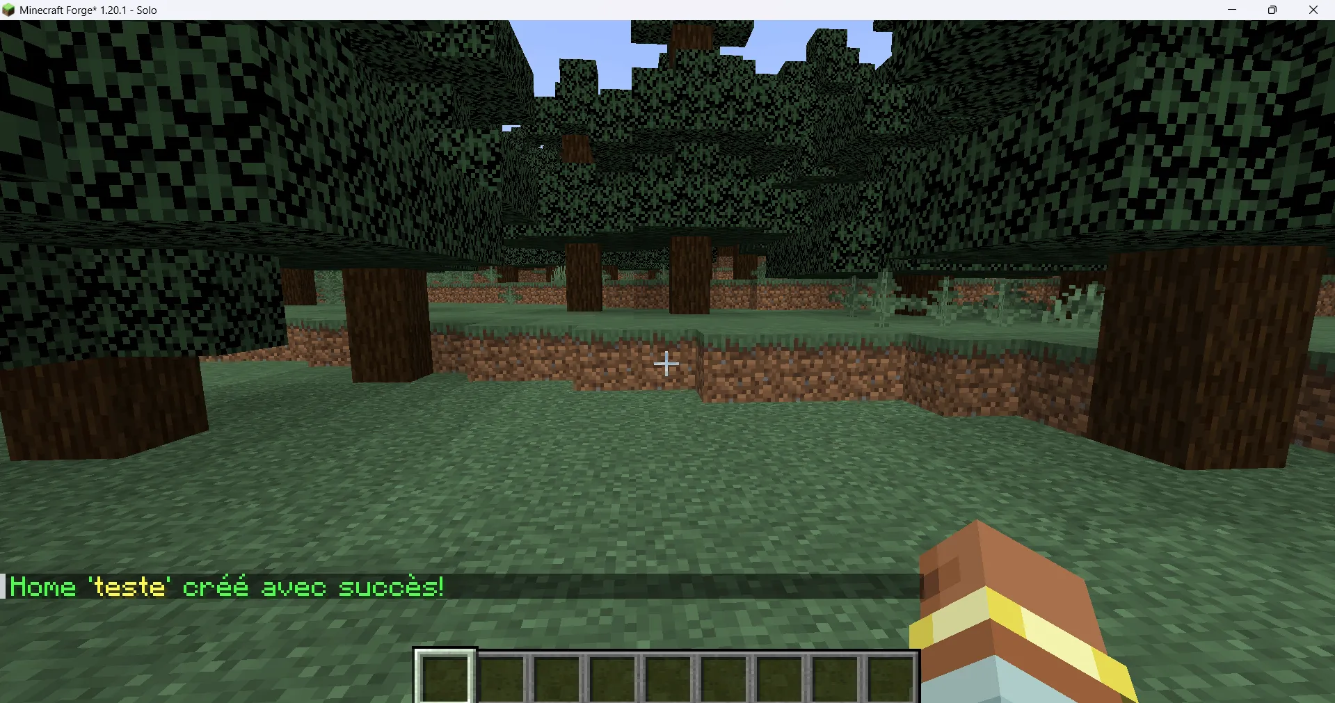 Set-Home Point — скриншот 9 (Моды, Minecraft)