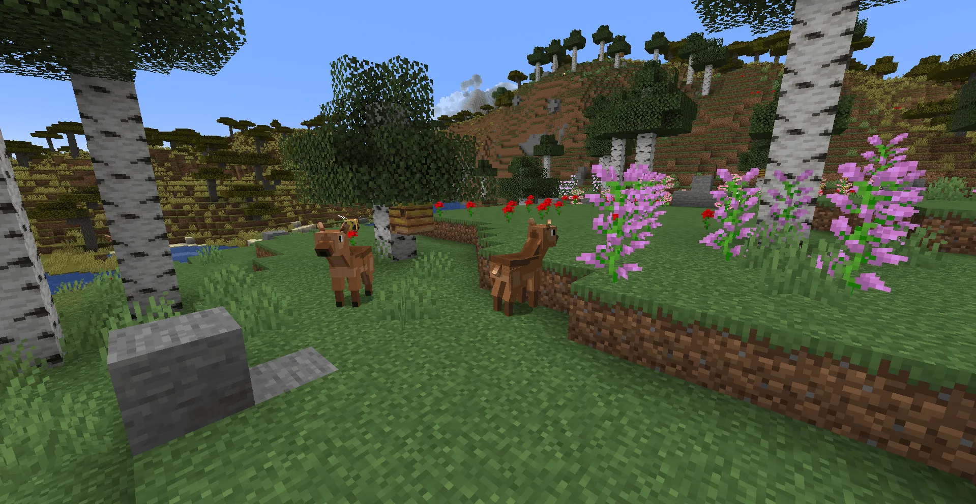 Biome Plus, Моды, Minecraft