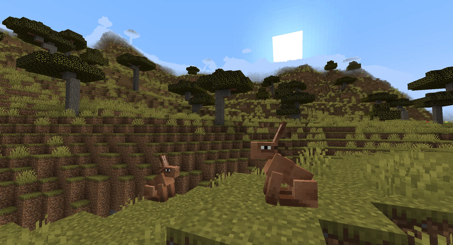 Radically Random Additions, Моды, Minecraft