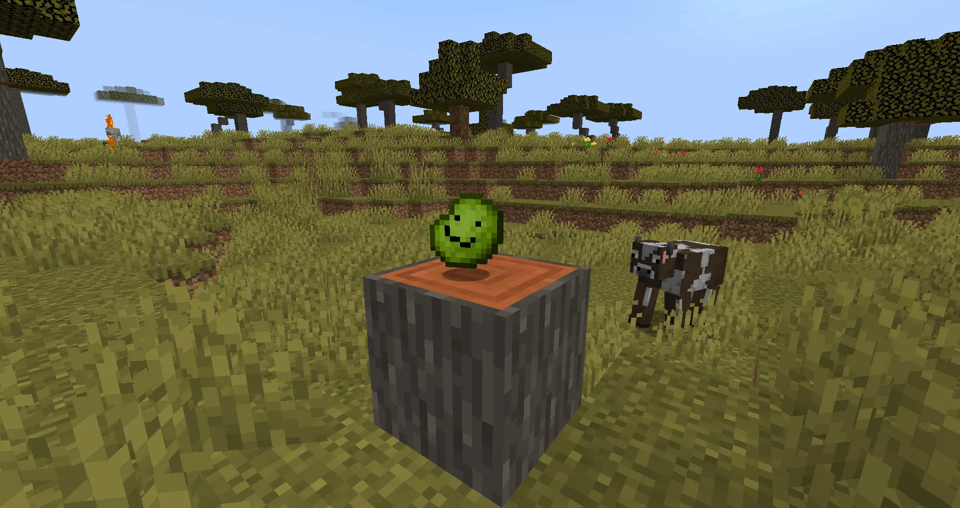 Gorp's World, Моды, Minecraft