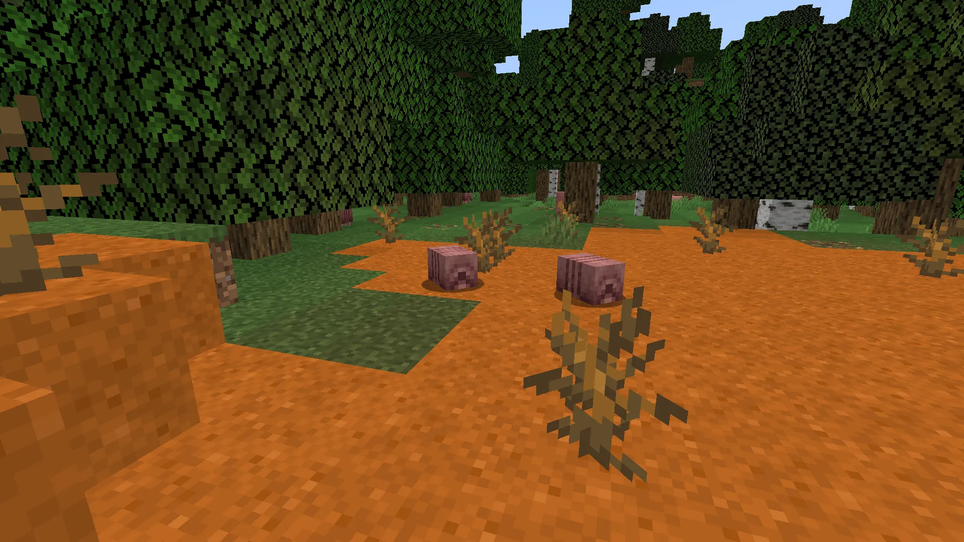 A Backport of Sorts [ABANDONED], Моды, Minecraft