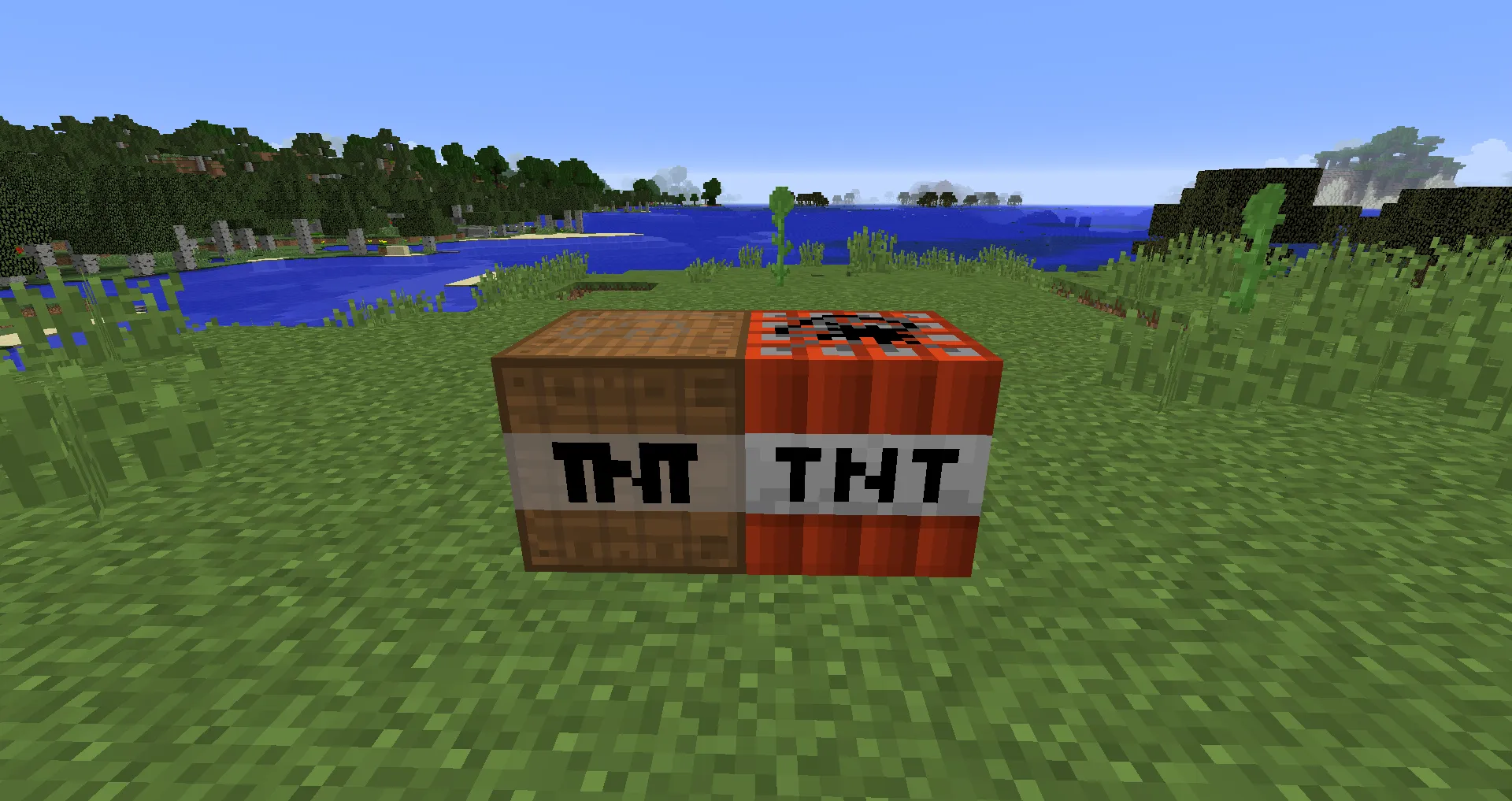 ManyThings, Моды, Minecraft