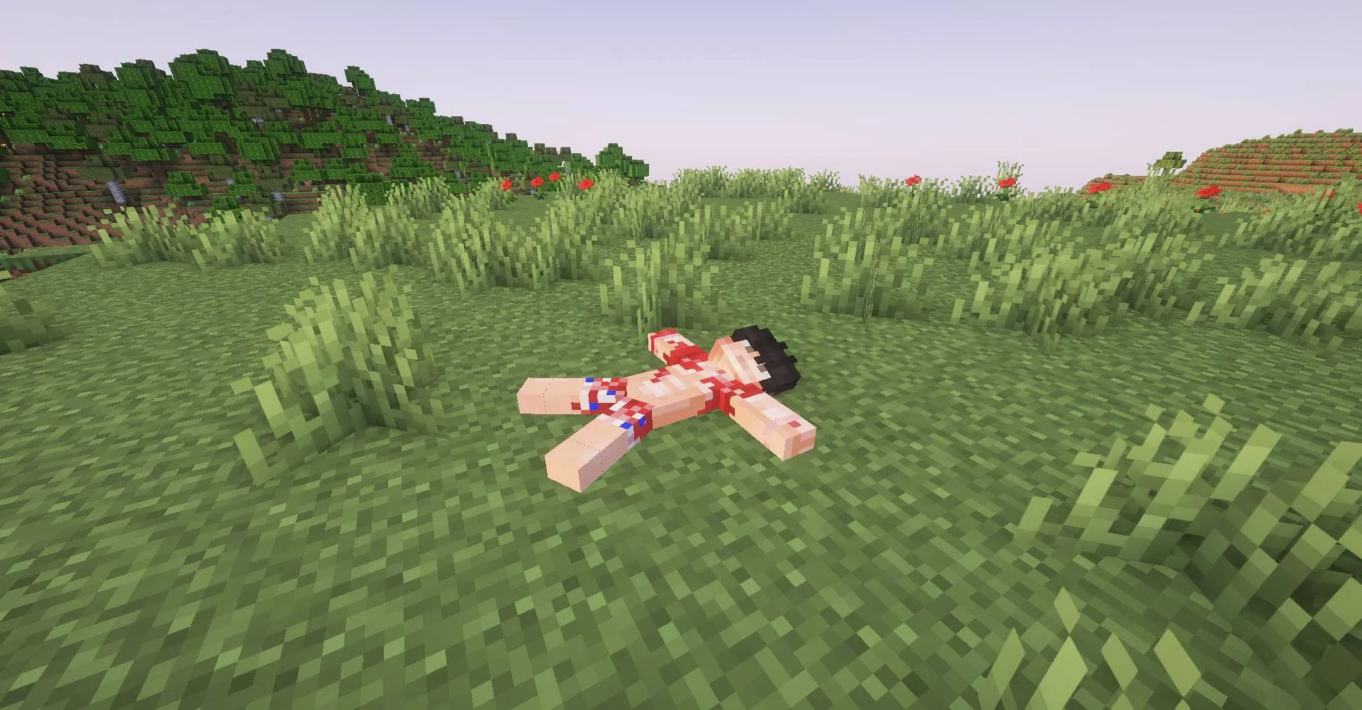 The Boys : New world, Моды, Minecraft