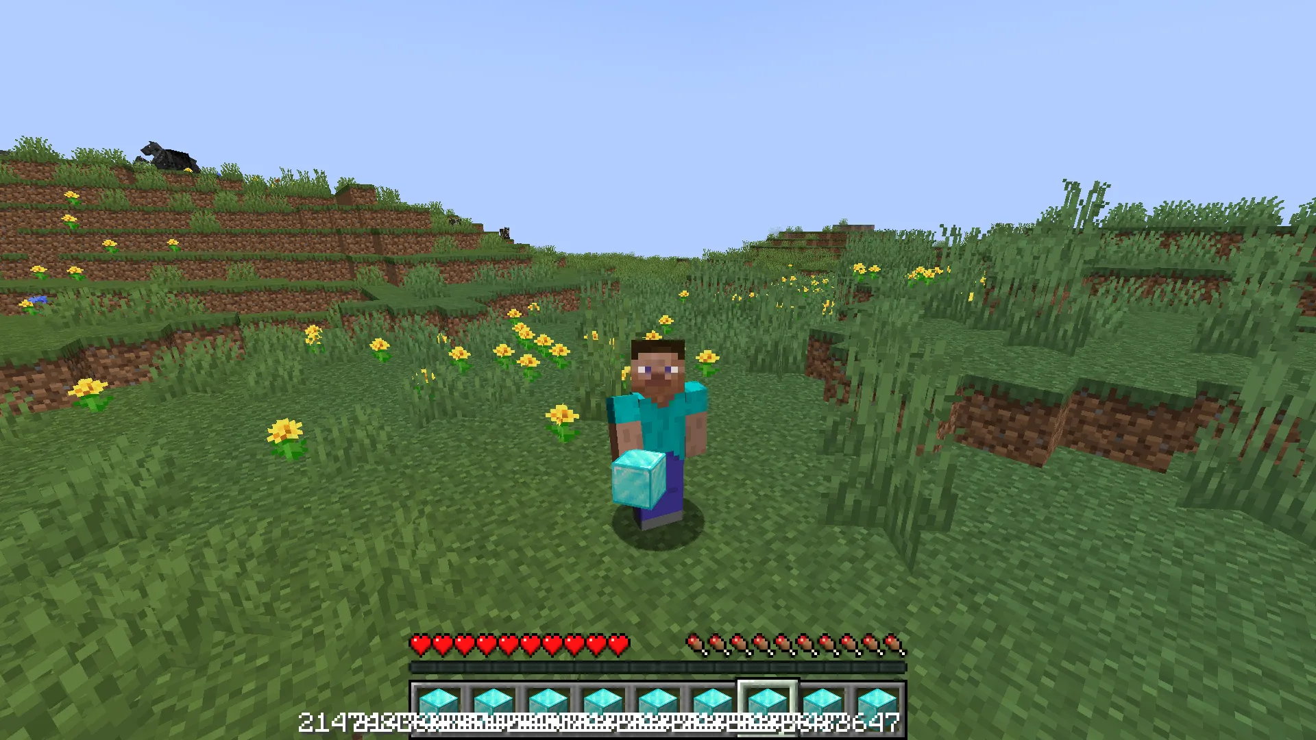 Dupe Command V2 (Duplicator's Delight), Моды, Minecraft