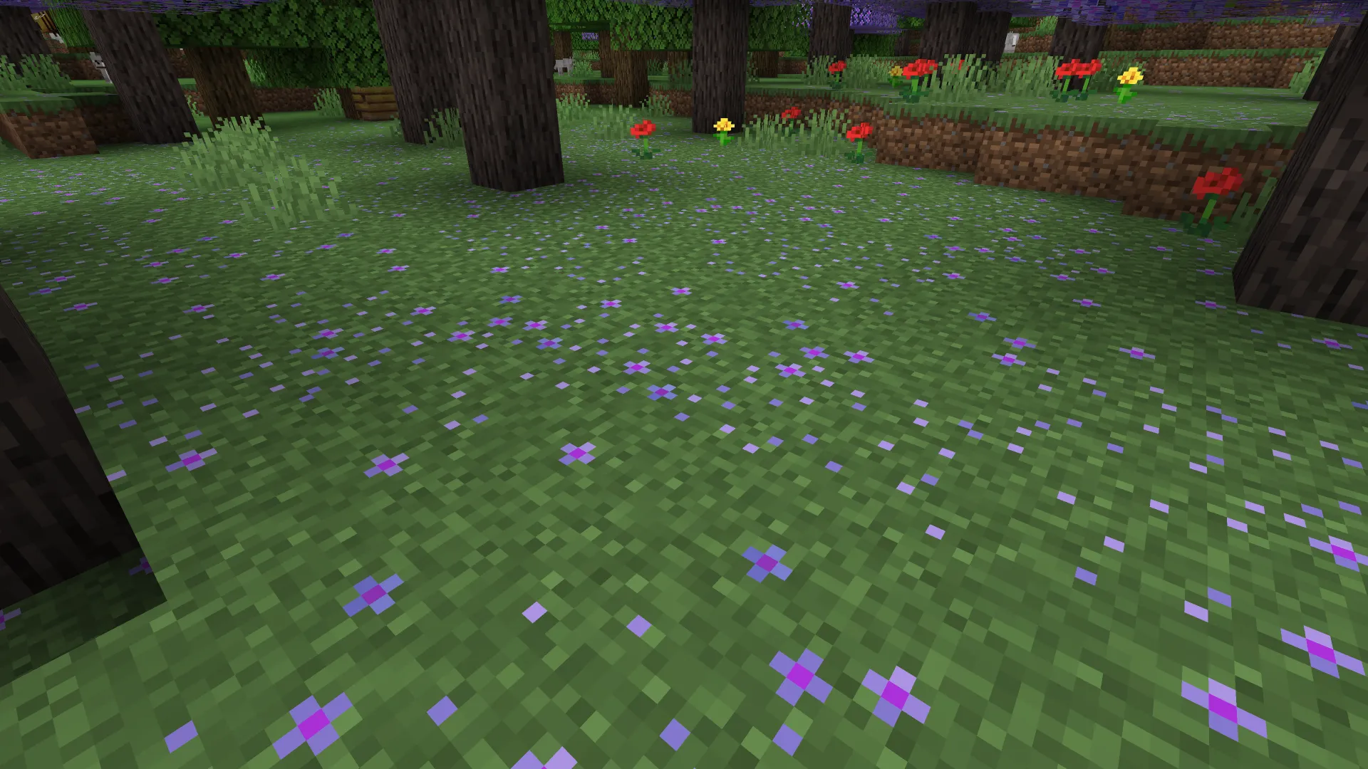 Arboles de Jacaranda, Текстуры, Minecraft