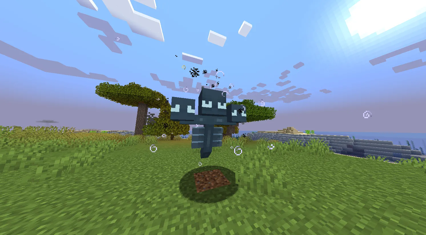 "Noodle Head" Wither, Текстуры, Minecraft