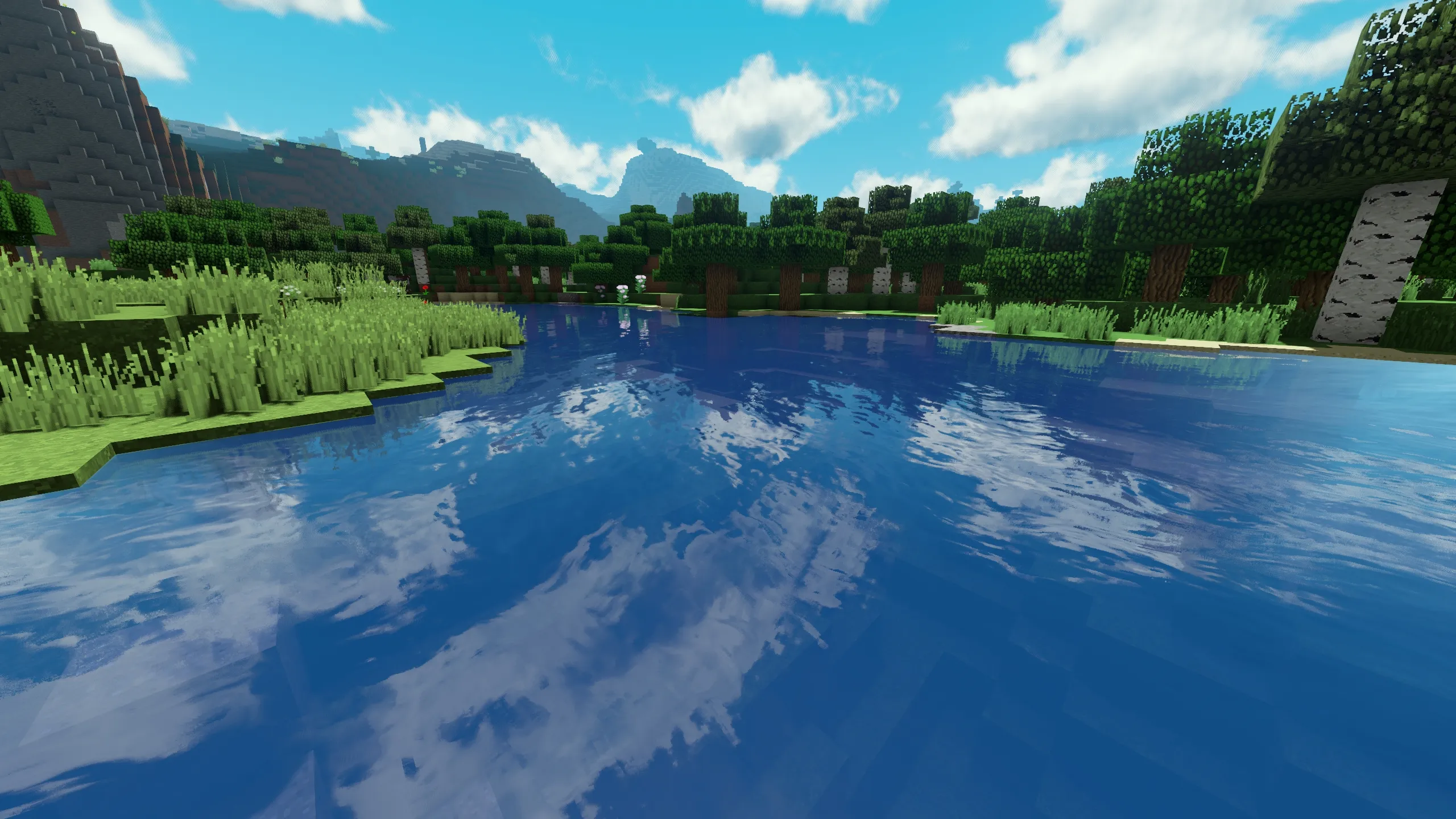 RRe36's Shader, Шейдеры, Minecraft