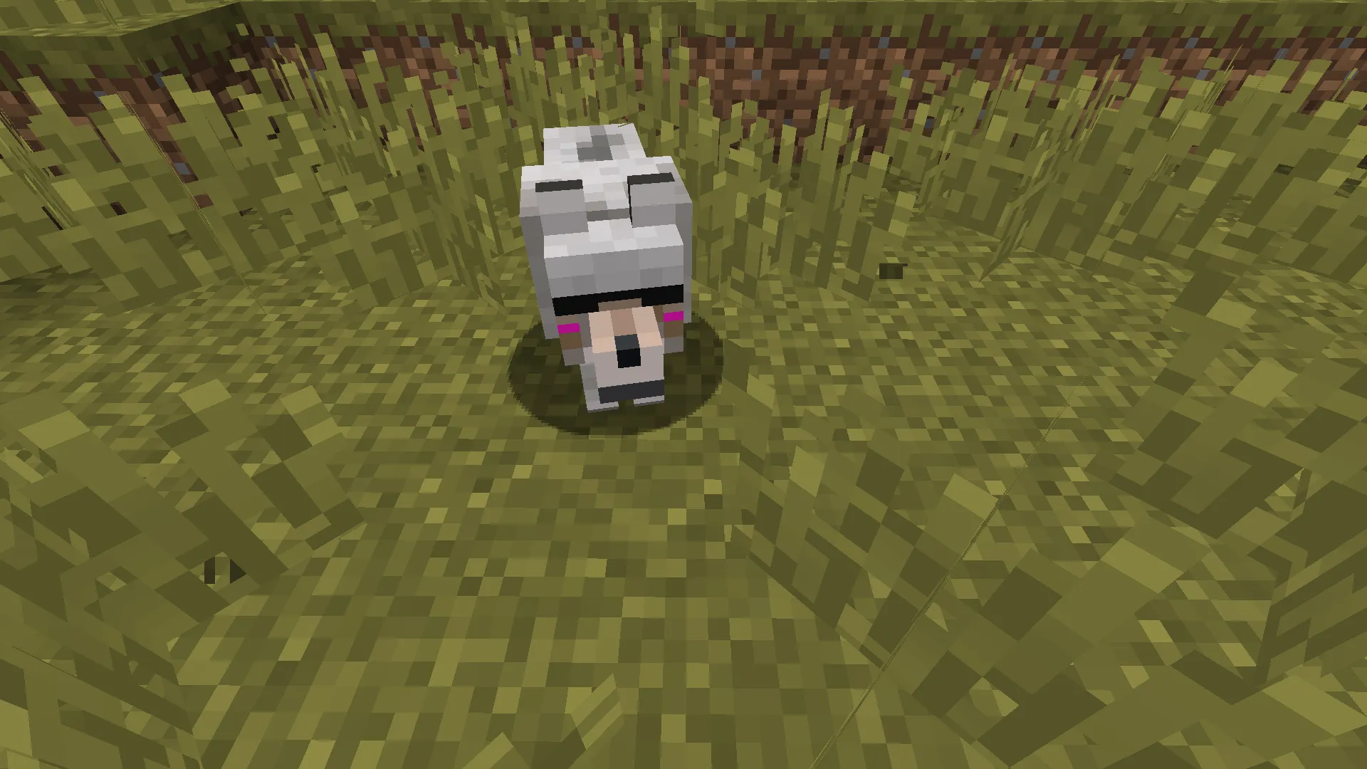 crazy_cats texture pack, Текстуры, Minecraft