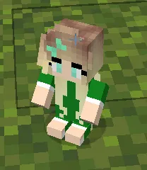 Mineball Manager, Моды, Minecraft