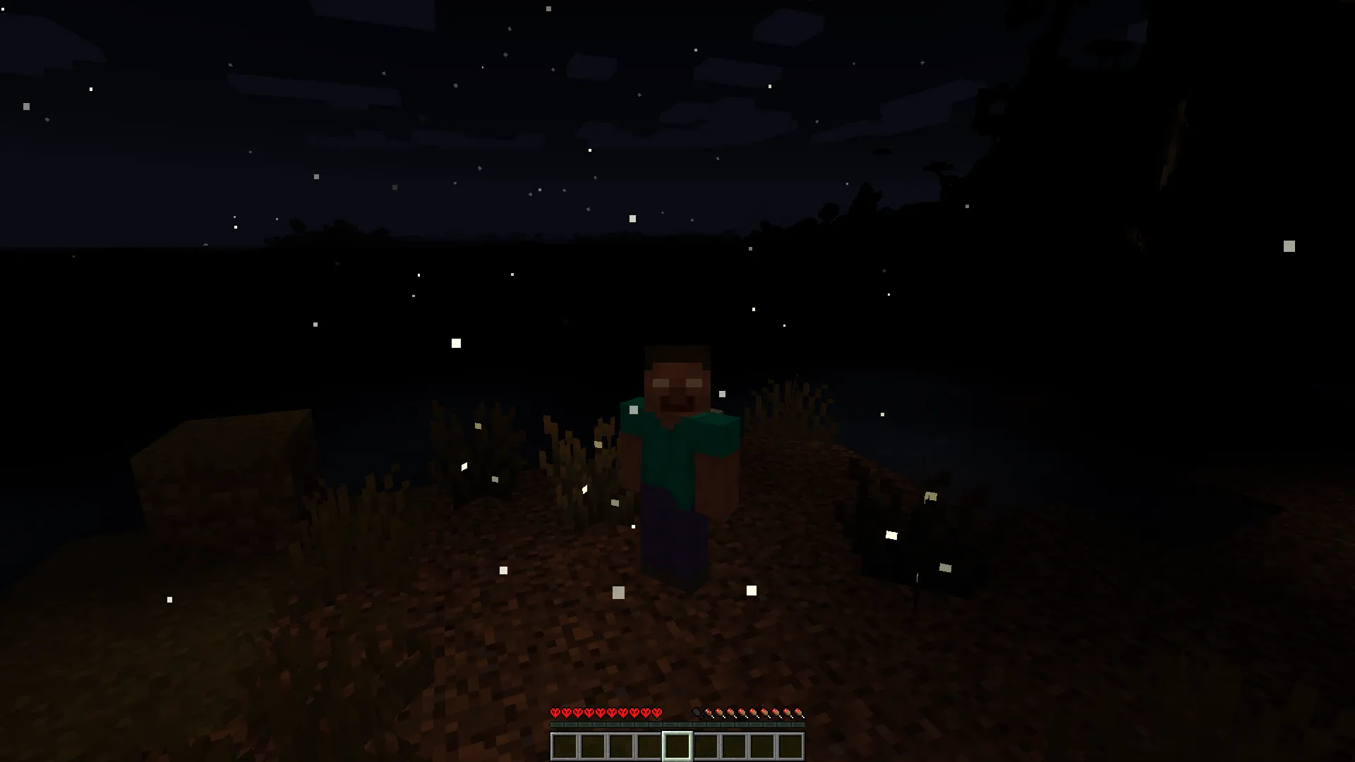 Hardcore Darkness (Fabric), Моды, Minecraft