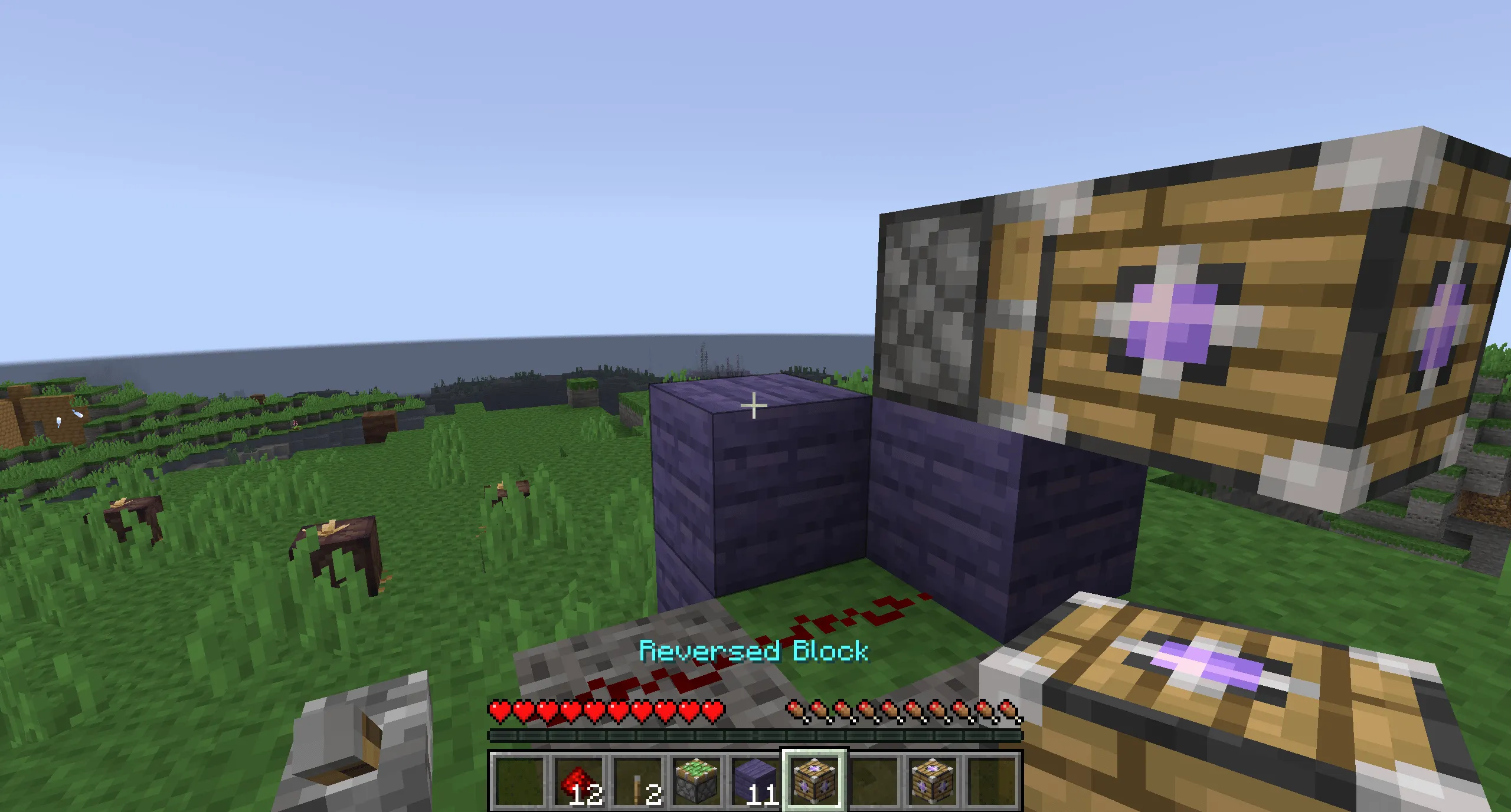Stormward, Моды, Minecraft
