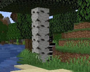 Criminal Chaos, Моды, Minecraft