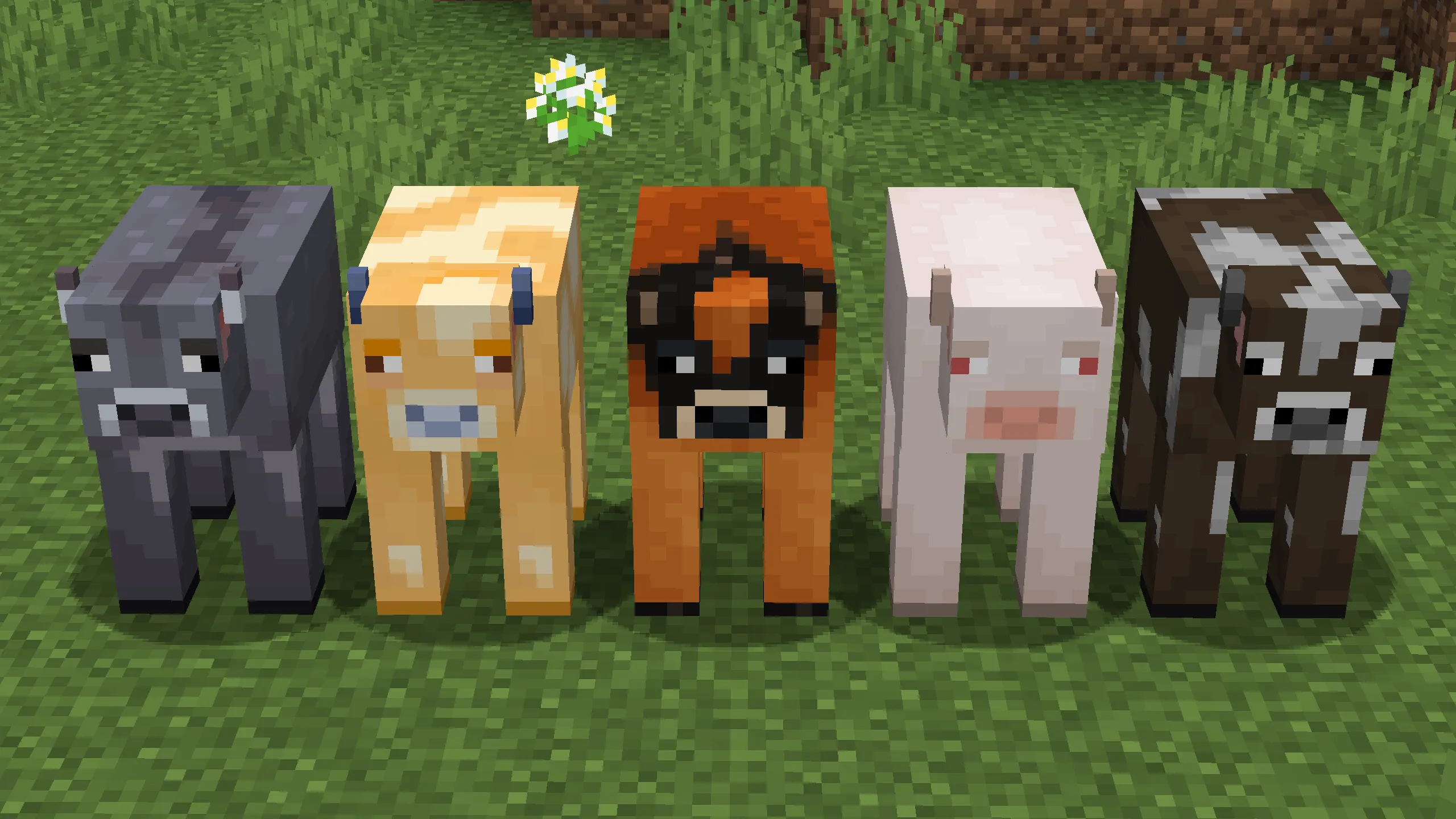 Example Random Entity Textures, Текстуры, Minecraft