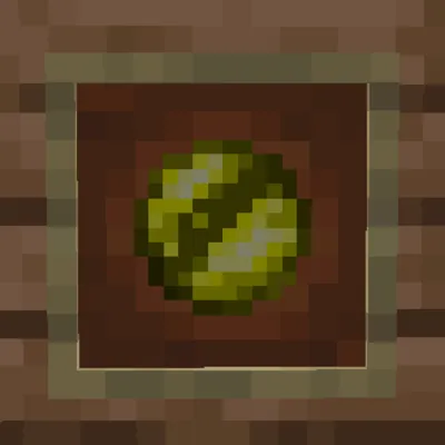 NewTown, Моды, Minecraft