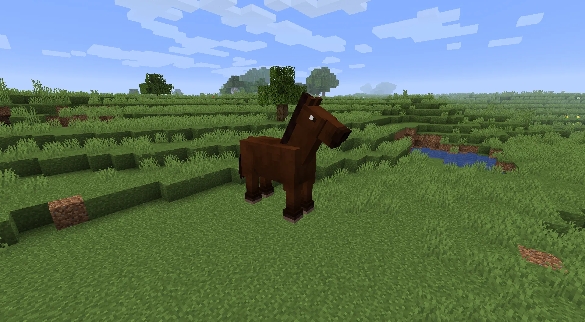 Old Horses in 1.13/1.14+ — скриншот 3 (Текстуры, Minecraft)