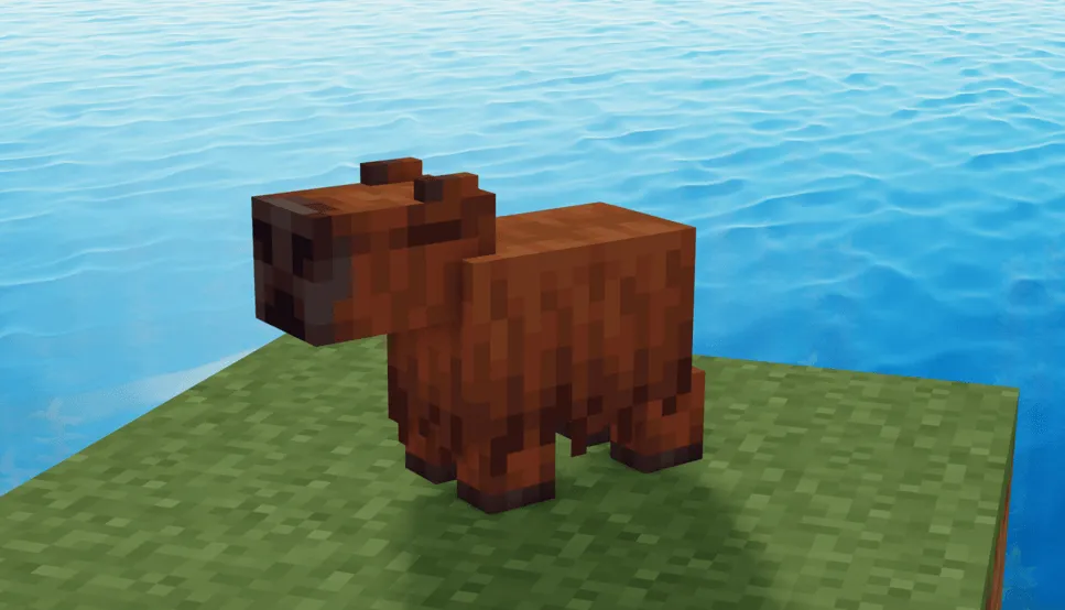 CAPYBARA KAWAII, Текстуры, Minecraft