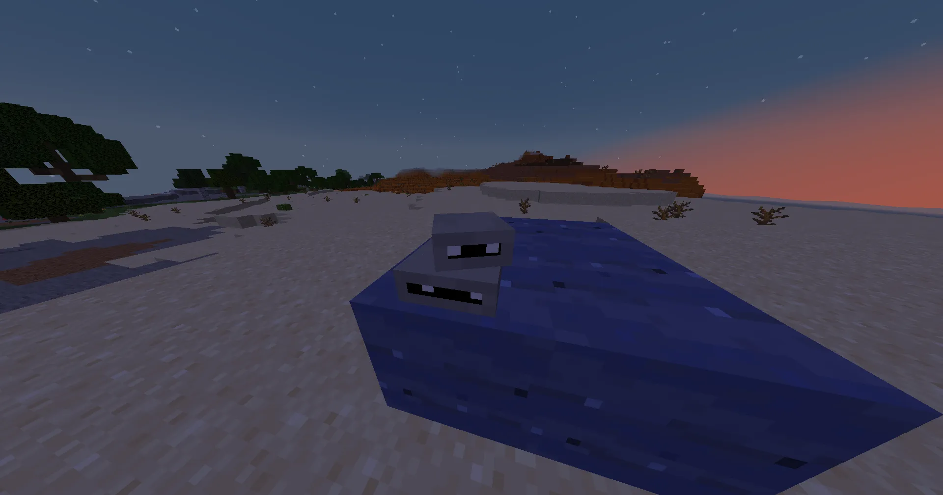 Ducks&Decor, Моды, Minecraft