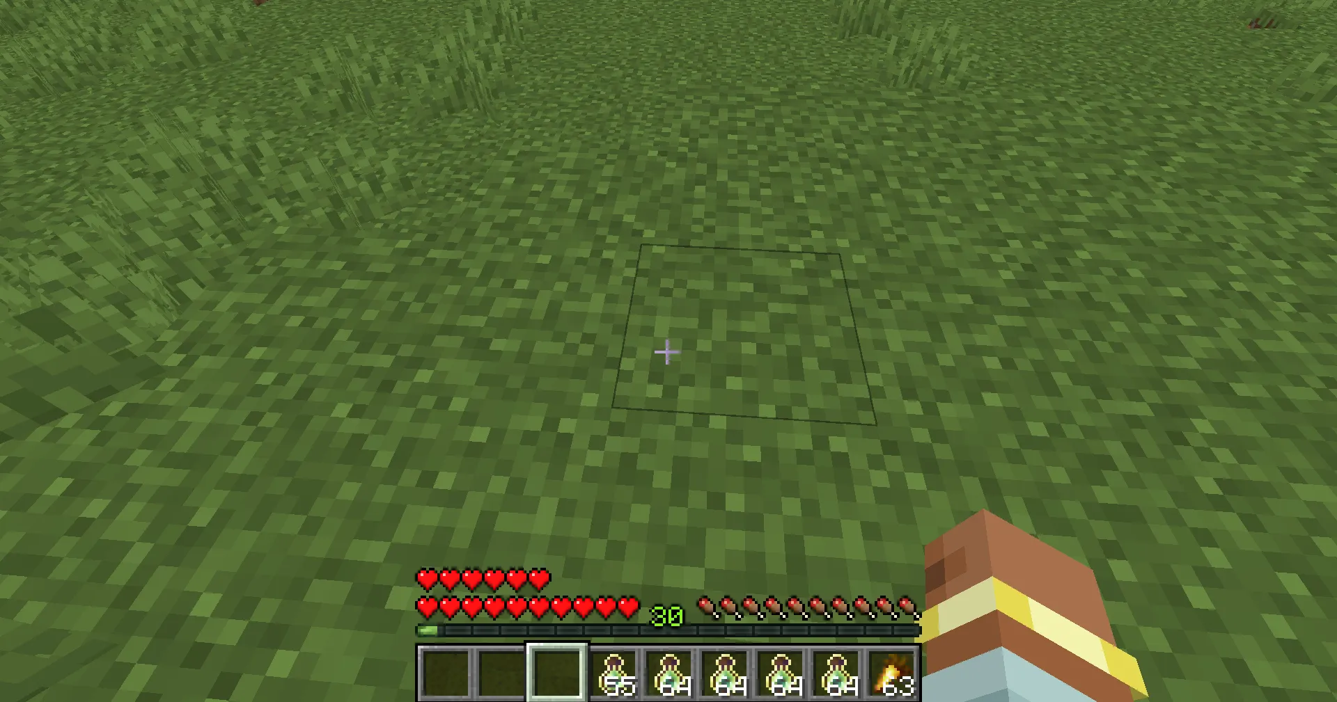 Life Experience — скриншот 3 (Моды, Minecraft)