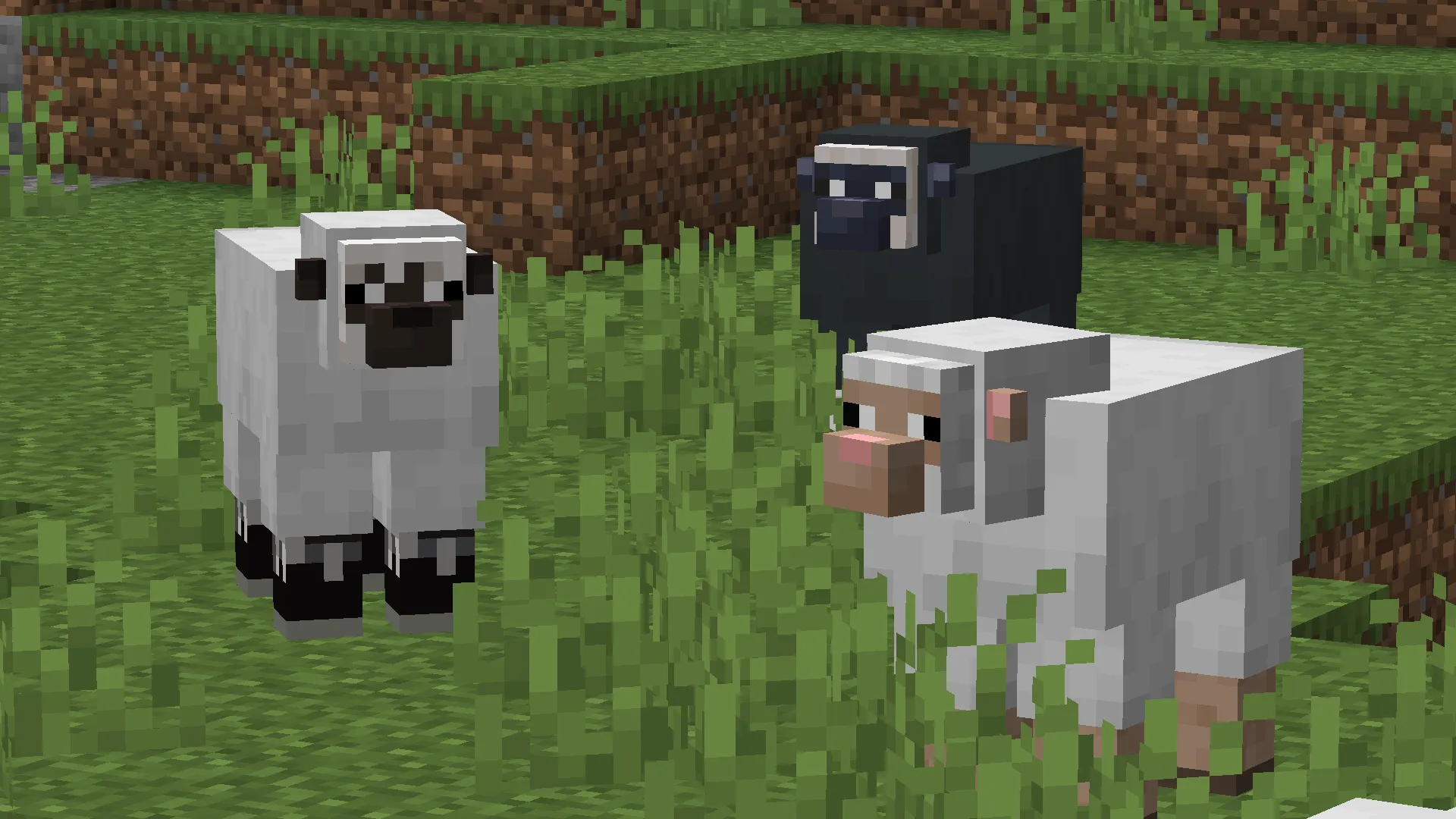 Dani's Livestock Revamp (JEMs), Текстуры, Minecraft