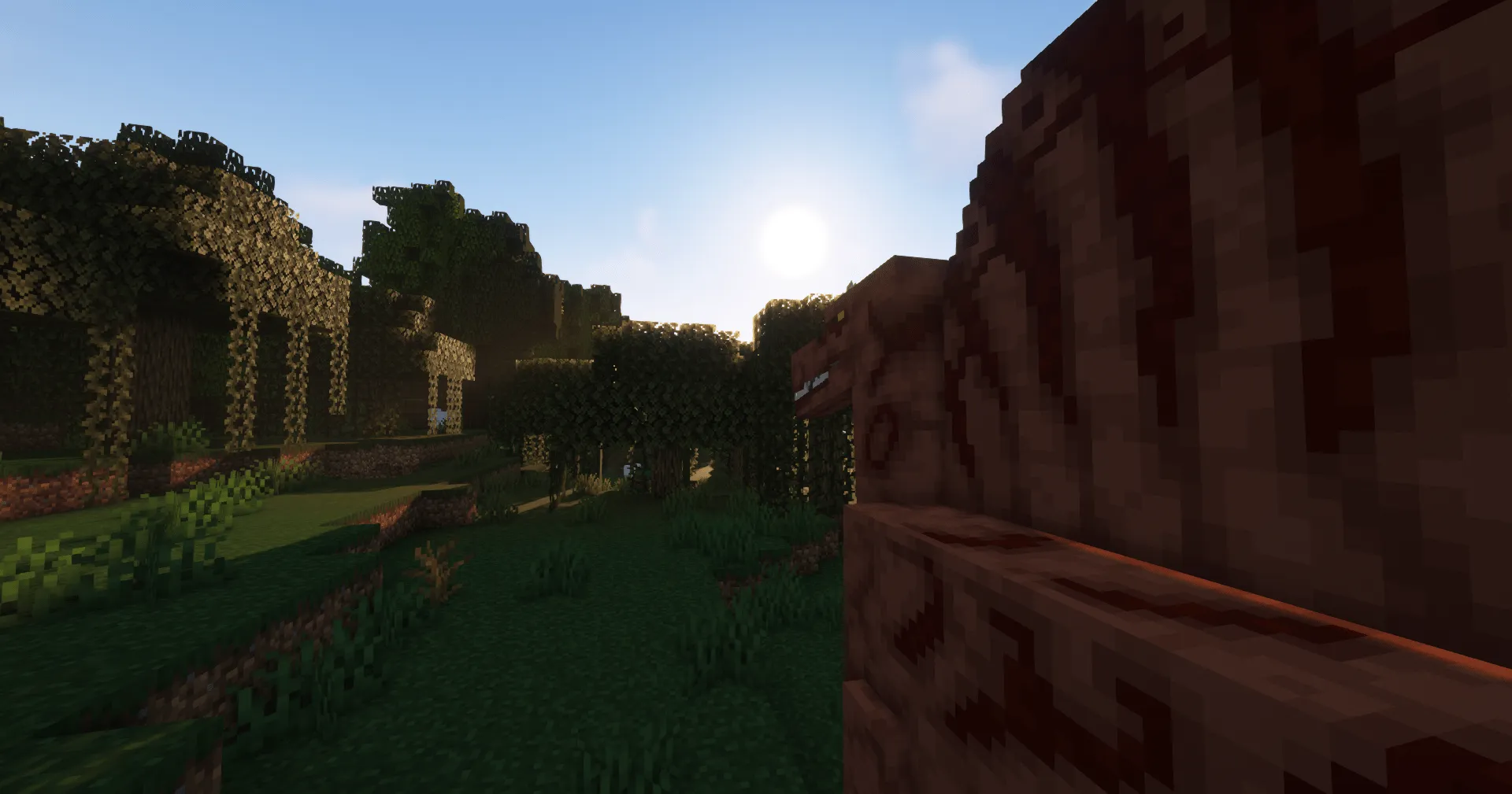 The Last Journey, Моды, Minecraft