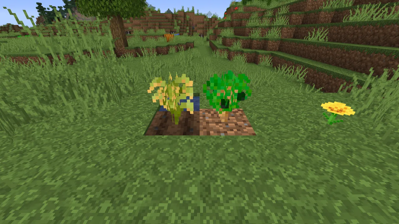 LaLega Sushi, Моды, Minecraft