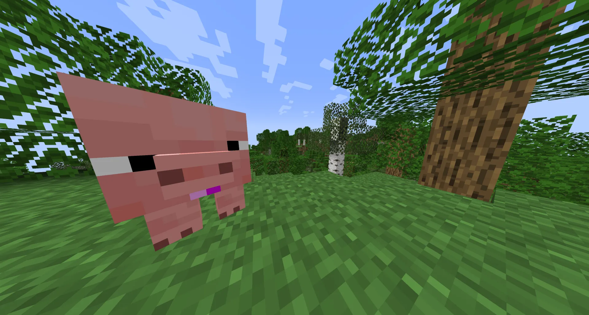 Derpify, Текстуры, Minecraft