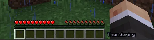 WeatherDisplay, Моды, Minecraft