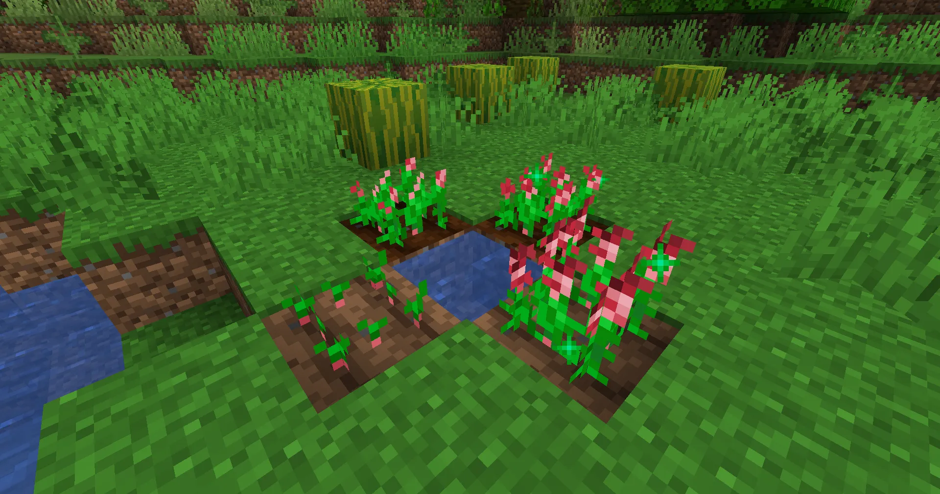 Project Red: Extended — скриншот 4 (Моды, Minecraft)