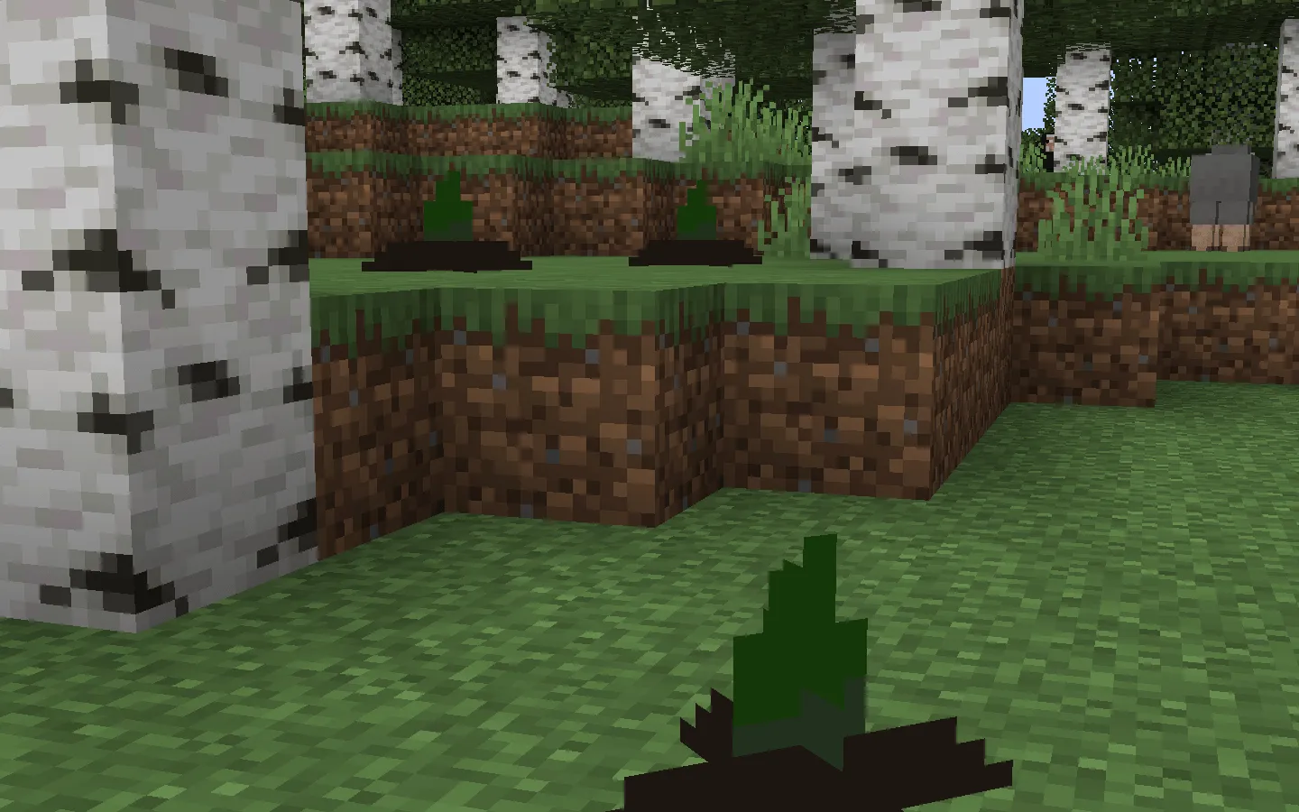 Barri´s Botany — скриншот 4 (Моды, Minecraft)