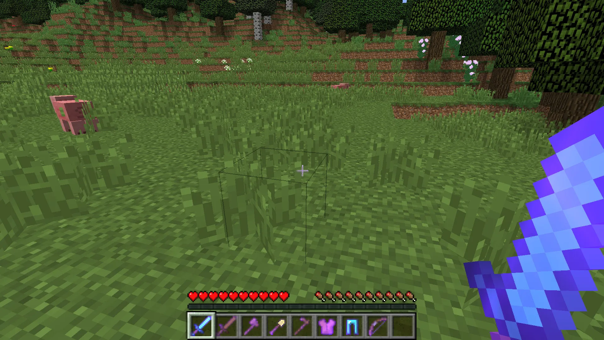 Enhance Armament, Моды, Minecraft