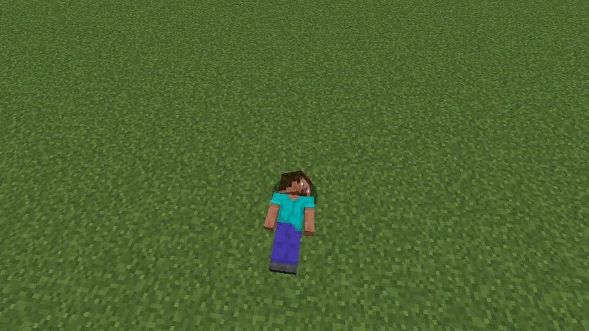 FabPose, Моды, Minecraft