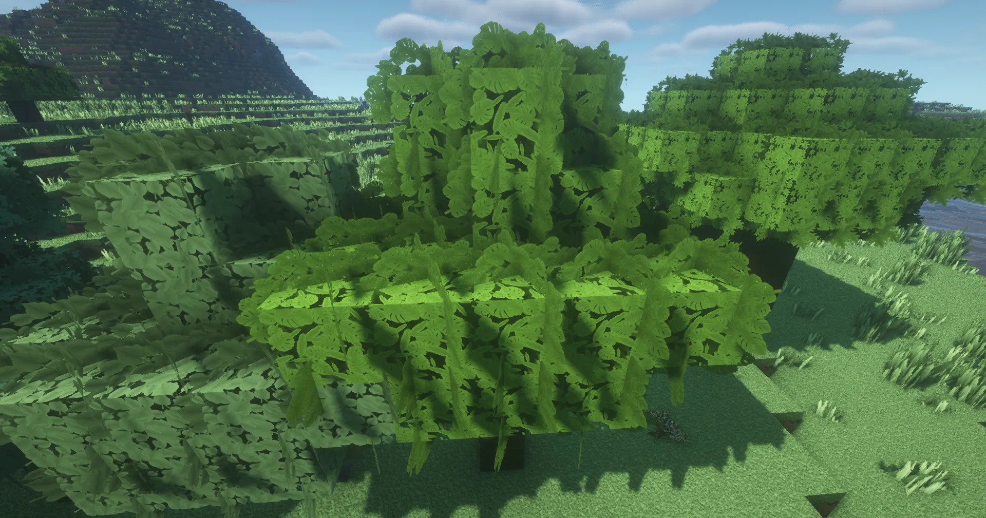 aBTV leaves addon — скриншот 1 (Текстуры, Minecraft)