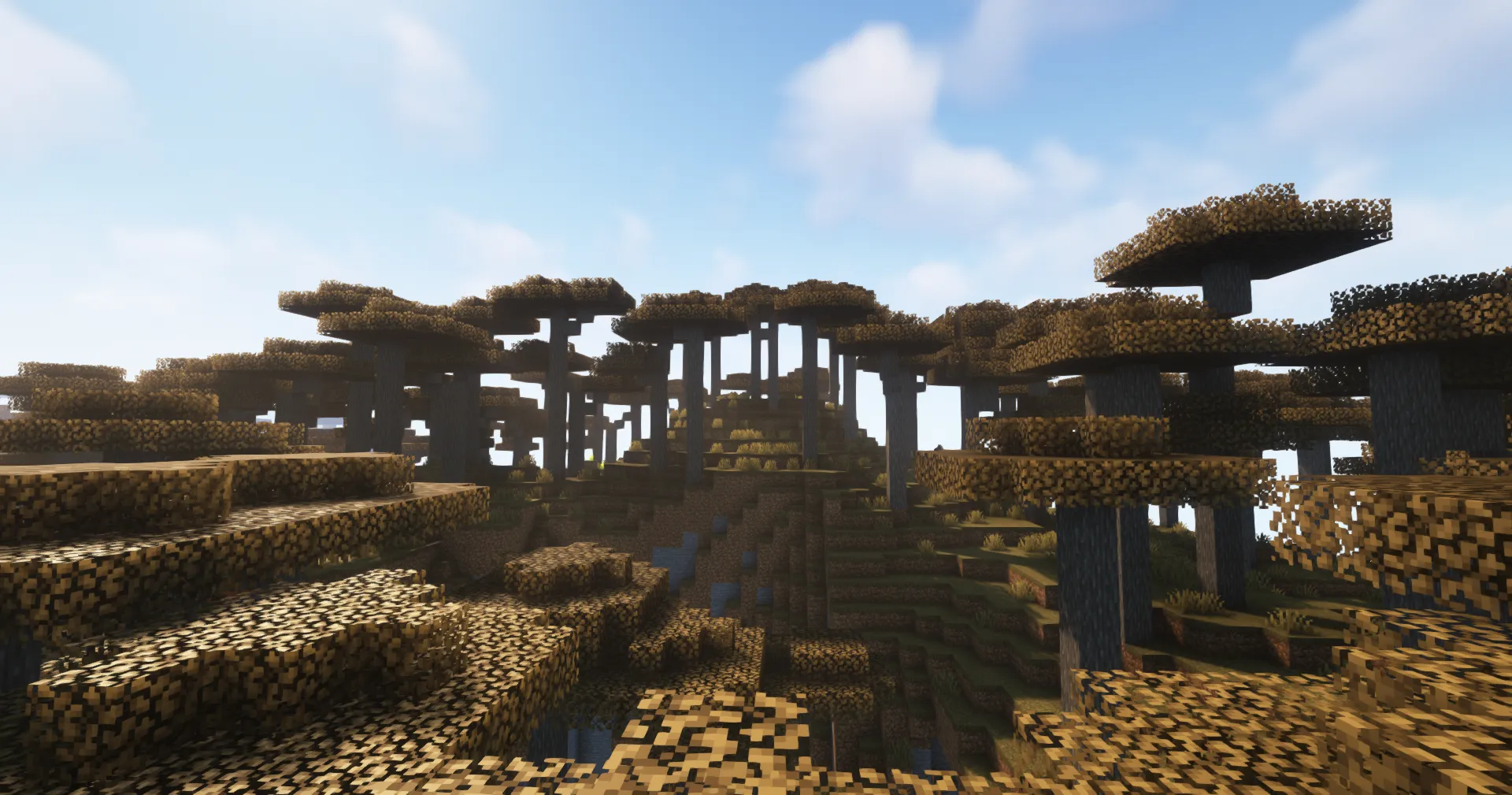 Crazy Biomes, Моды, Minecraft