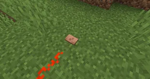 Belly Button (Fabric), Моды, Minecraft