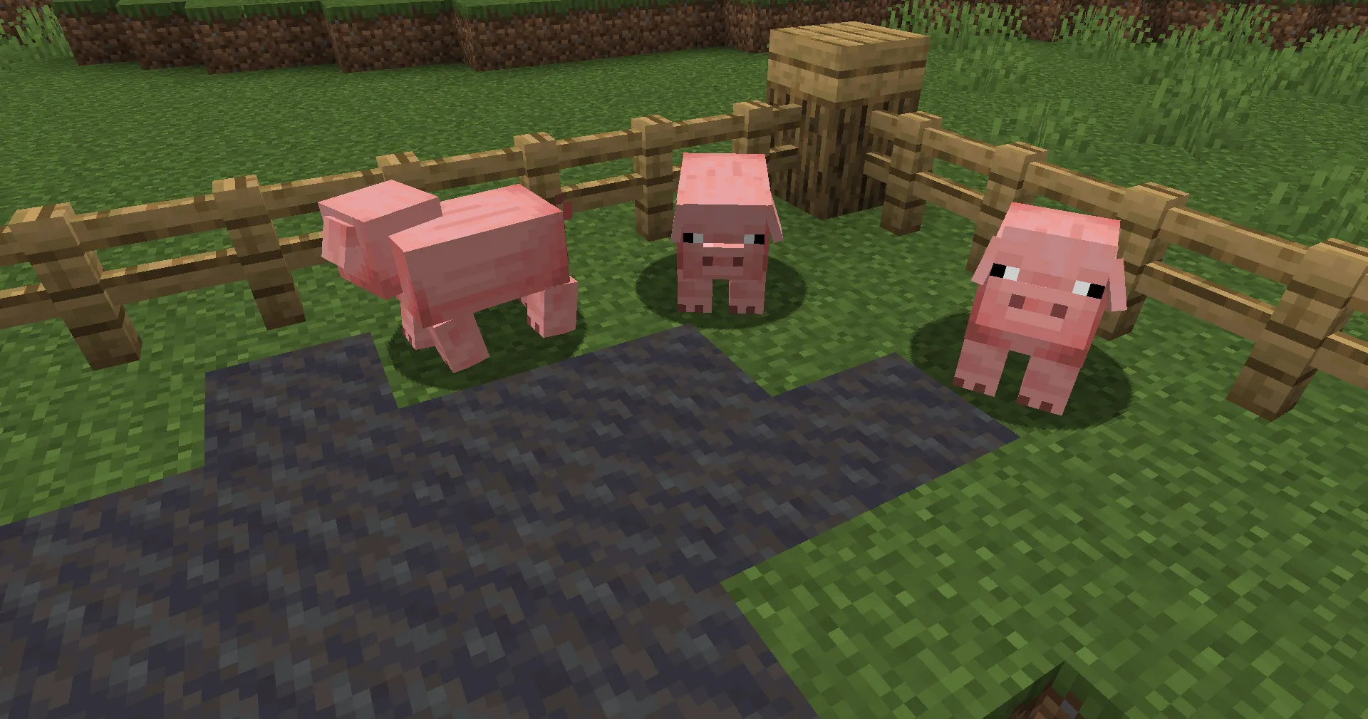 Bagel's Animal Tweaks — скриншот 1 (Текстуры, Minecraft)