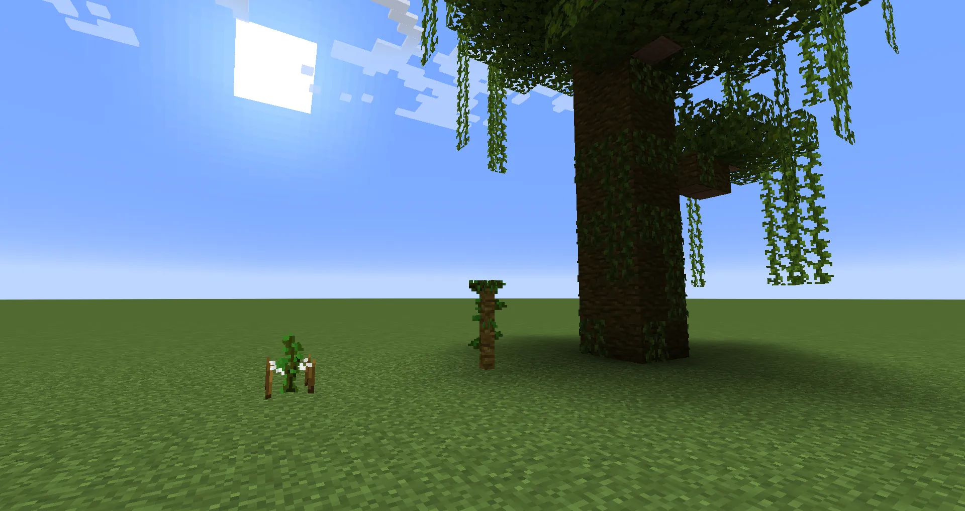 Better Saplings — скриншот 4 (Текстуры, Minecraft)