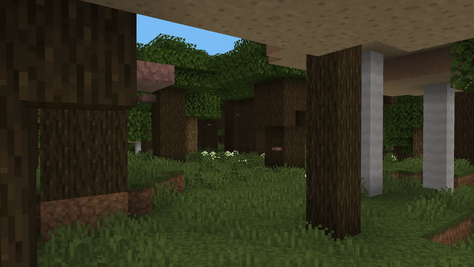 No Mans Land, Моды, Minecraft