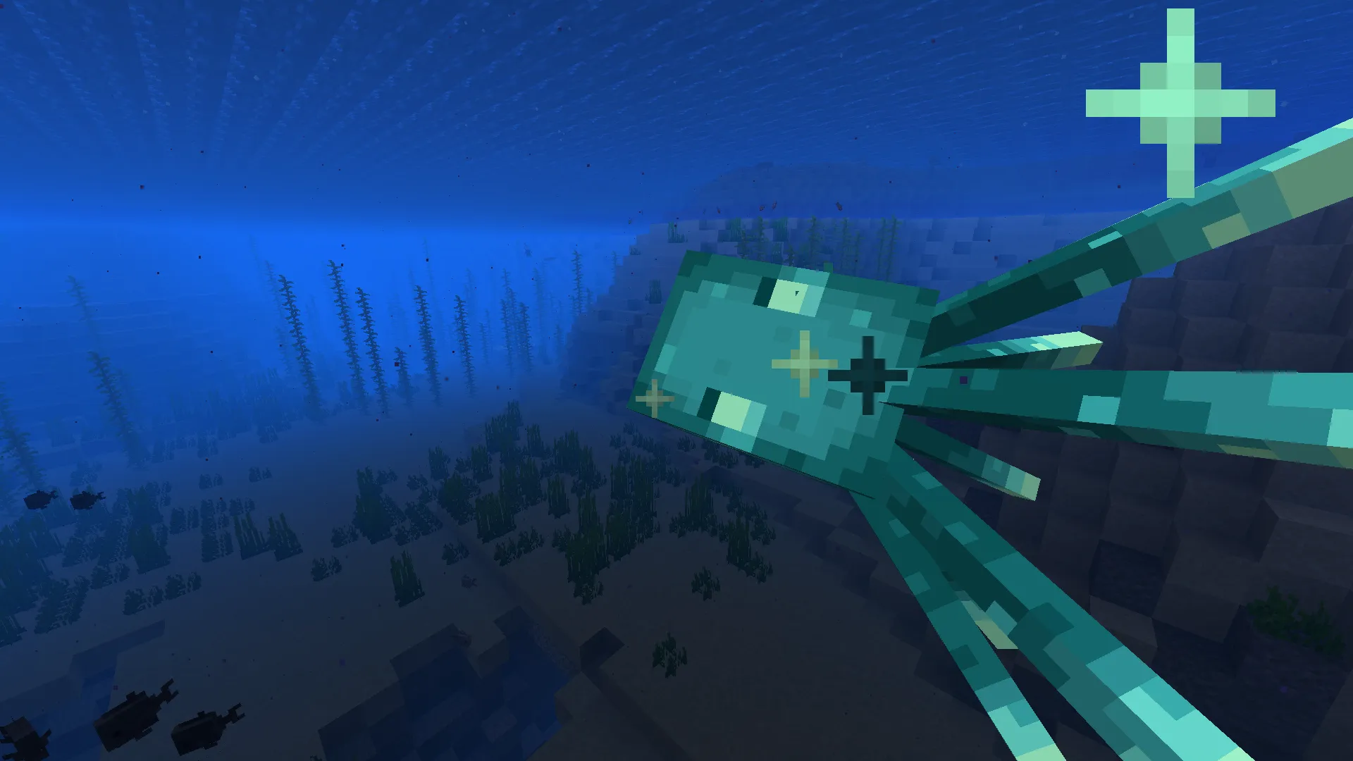 Makeup Glowsquid, Текстуры, Minecraft